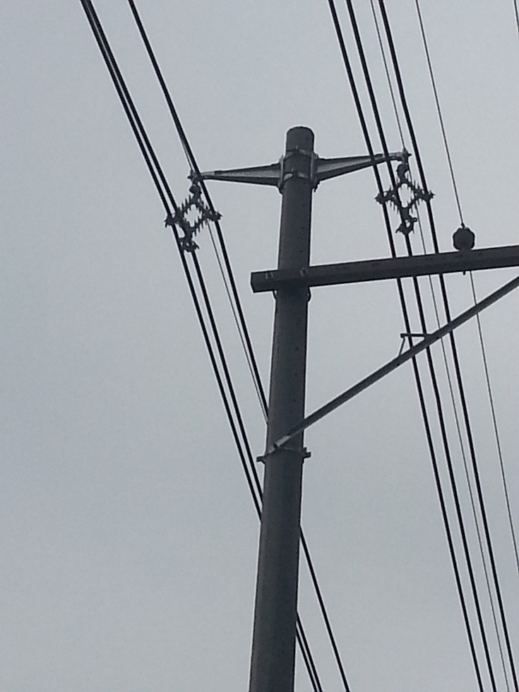 perfiles aisladores eléctricos redes aisladores eléctricos de alta tensión redes eléctricas tipos de aisladores perfiles plásticos aisladores separadores de cables 0 perfiles aisladores eléctricos redes aisladores eléctricos de alta tensión redes eléctricas tipos de aisladores perfiles plásticos aisladores separadores de cables 0 perfiles aisladores eléctricos redes aisladores eléctricos de alta tensión redes eléctricas tipos de aisladores perfiles plásticos aisladores separadores de cables 0